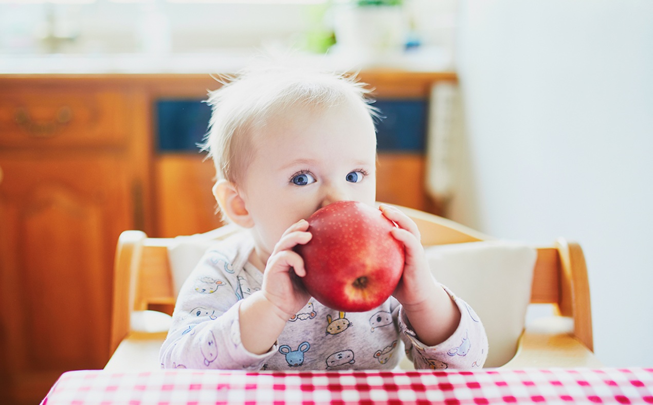 Baby Led Weaning